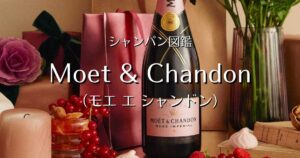 moet et chandon_011