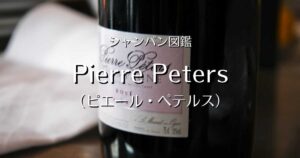 Pierre Peters_005
