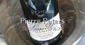 Pierre Peters_007