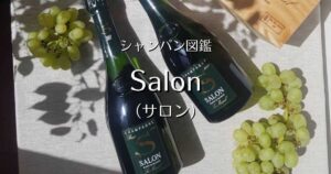 Salon_006