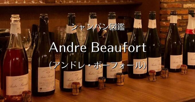 Andre Beaufort_001