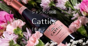 Cattier_004