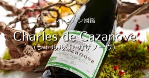 Chales de Cazanove_002