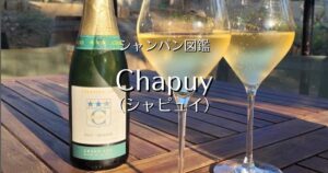 Chapuy_002