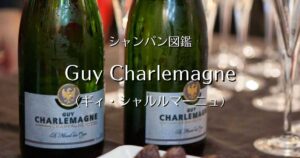 Guy Charlemagne _003