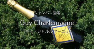 Guy Charlemagne _006