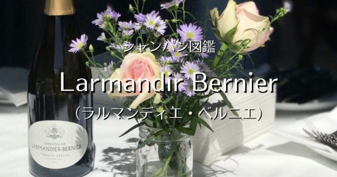 Larmandier Bernier_001