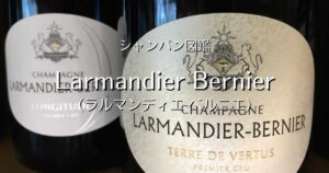 Larmandier Bernier_002