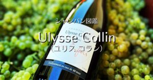 Ulysse Collin_002