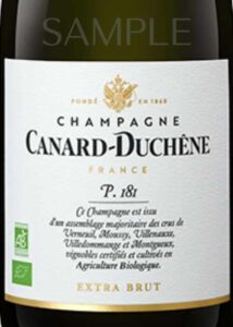 Canard Duchene P181_001