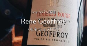 Rene Geoffroy_003
