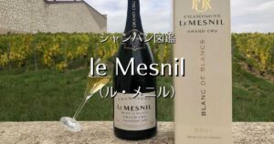 le Mesnil_002