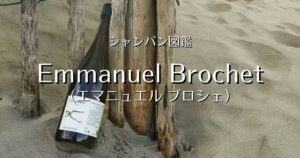 Emmanuel Brochet_003