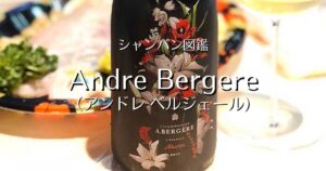 Andre Bergere_003