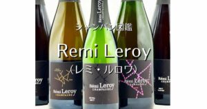 Remi Leroy_003