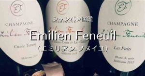 Emilien Feneuil（エミリアン フヌイユ）」シャンパン図鑑 | Champagne Freak（シャンパンふりーく）